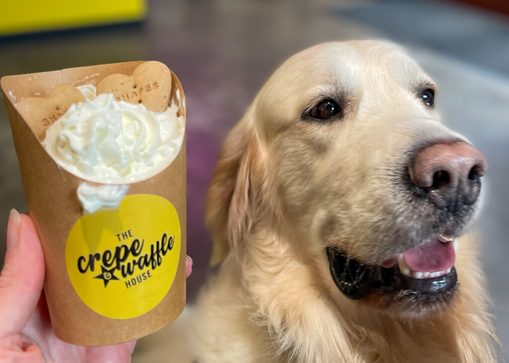 The Crêpe and Waffle House