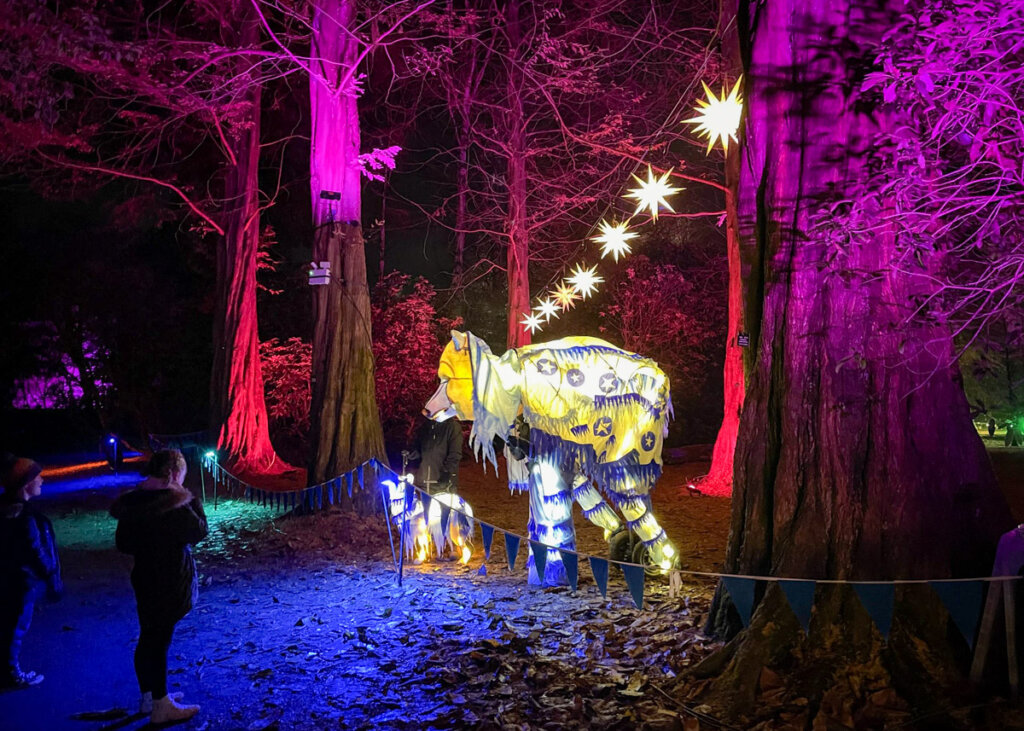 Yuletide at Tatton Park