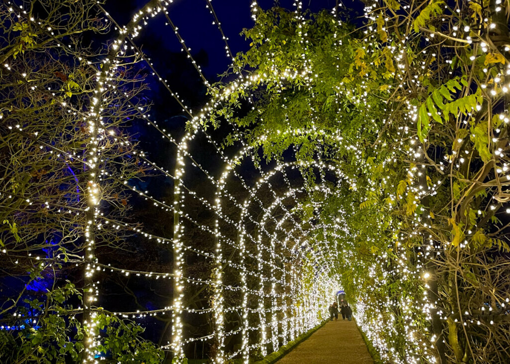 Winter Light Trail at Trentham Estate