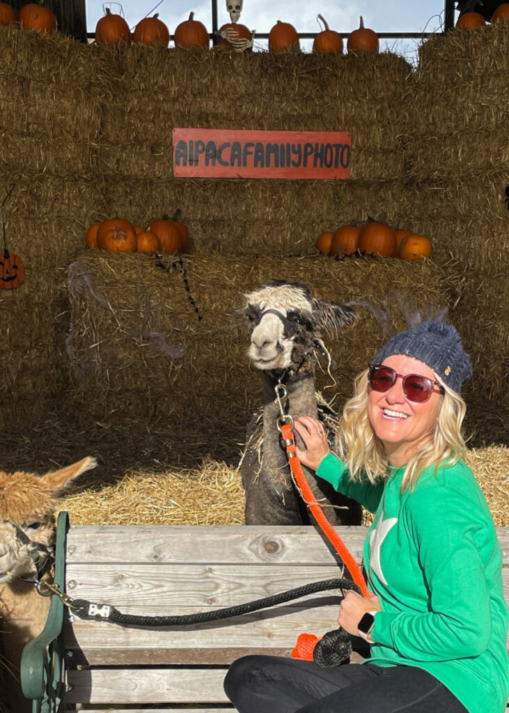 pumpkin at Tunstall Farm Park