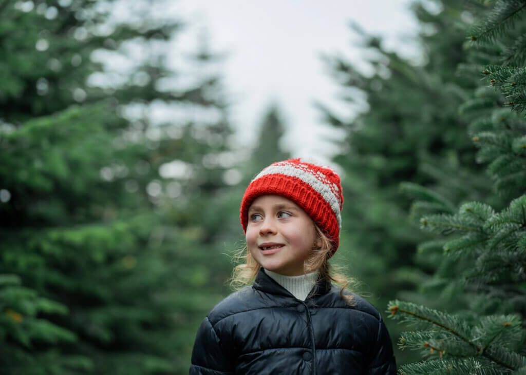 real Christmas tree shopping in Staffordshire